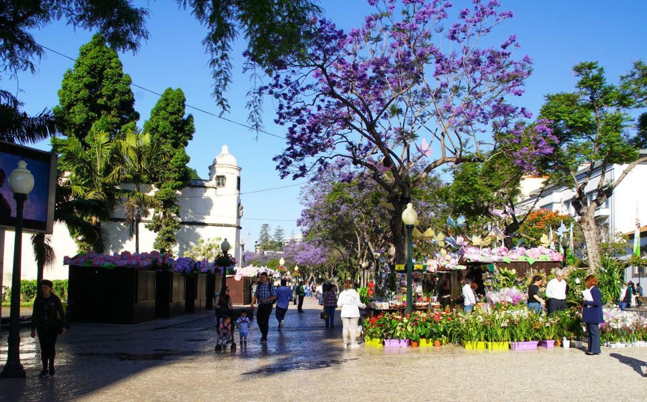 Pimenta Funchal Downtown Apartment Ngoại thất bức ảnh